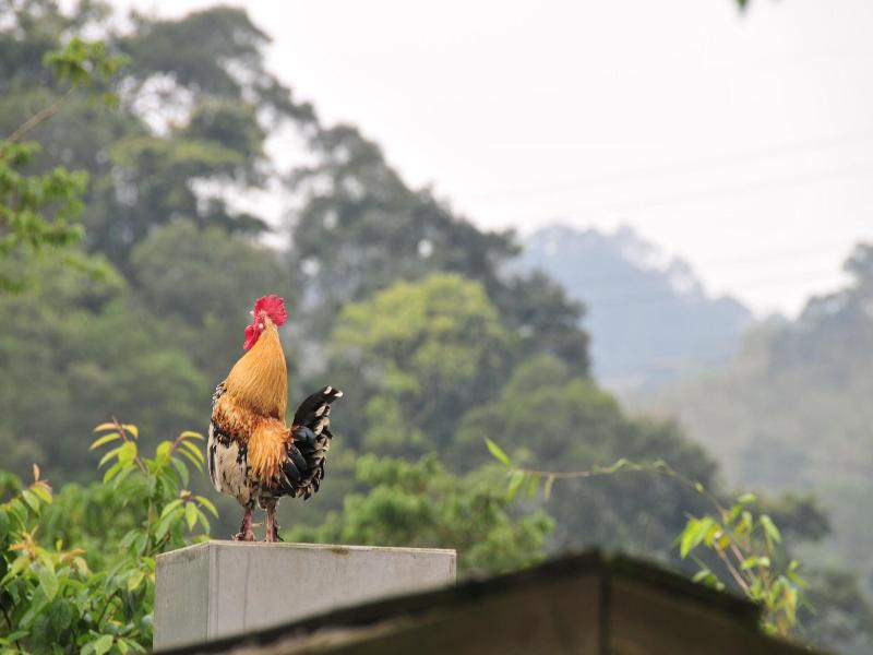 Zhuo Ye Cottage image