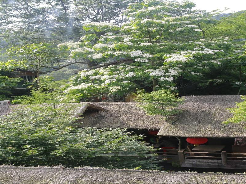 Zhuo Ye Cottage image