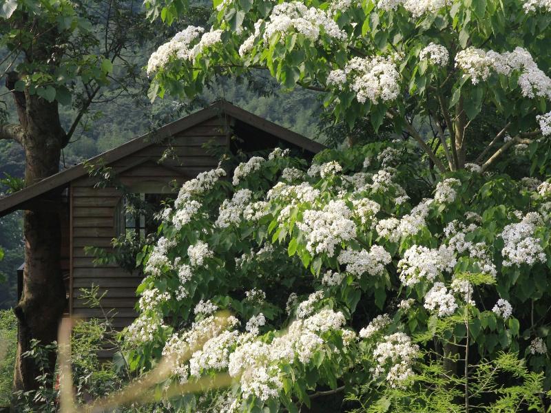 Zhuo Ye Cottage image