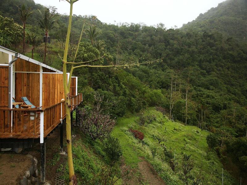 Juhu Farmstay image