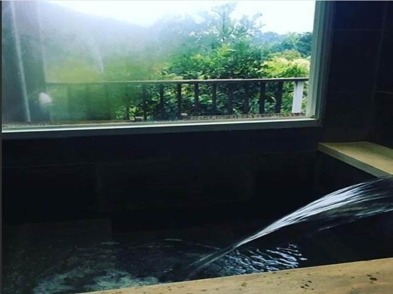 Juhu Farmstay image