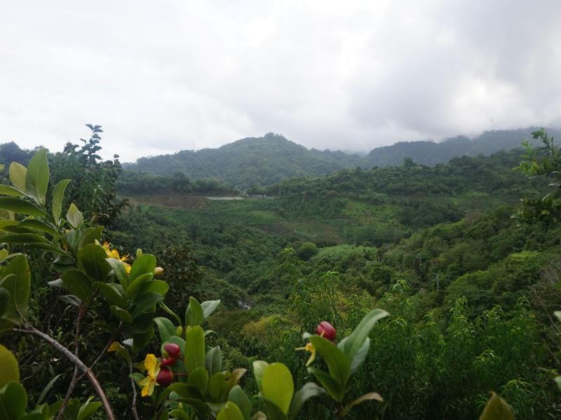 Juhu Farmstay image