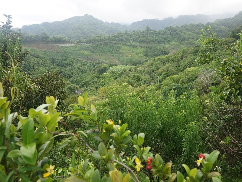 Juhu Farmstay image