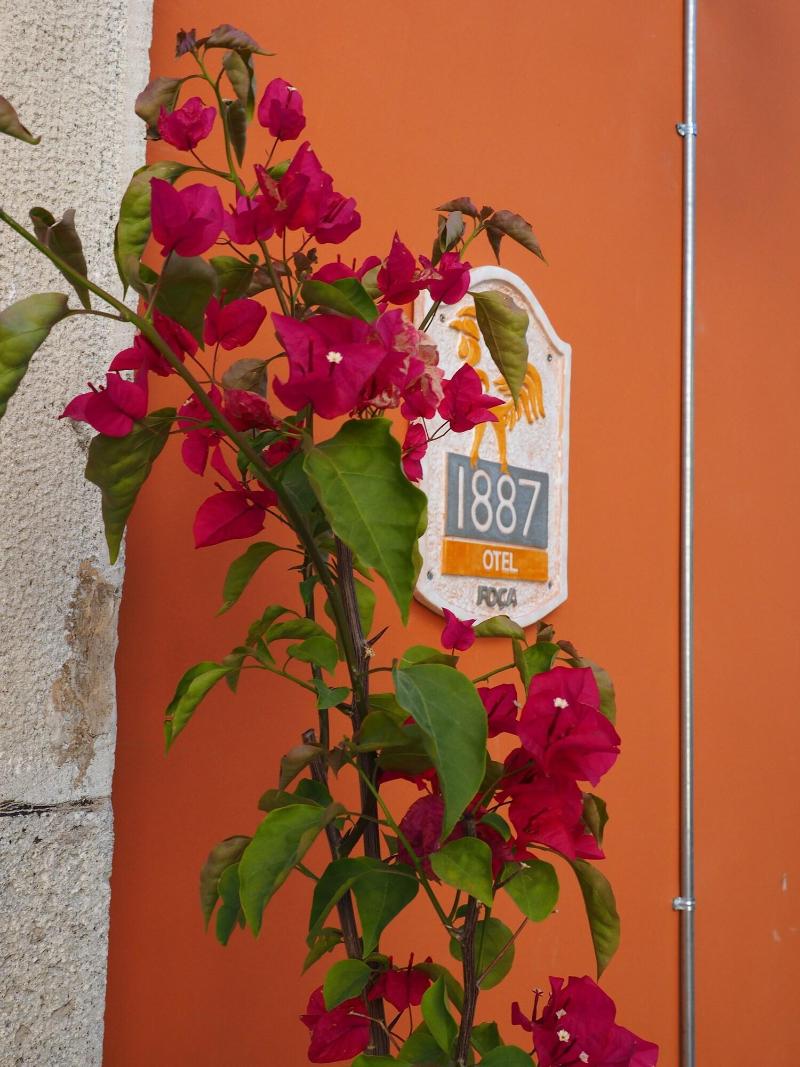 Foca 1887 Otel image