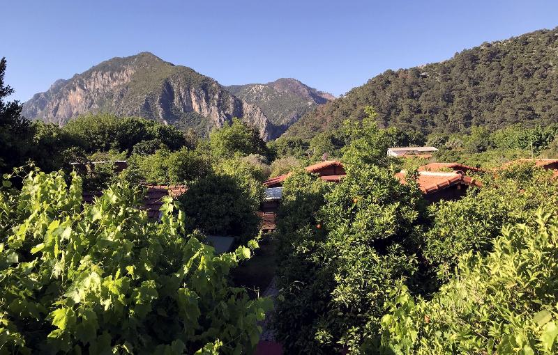 Baris Pension & Bungalows image
