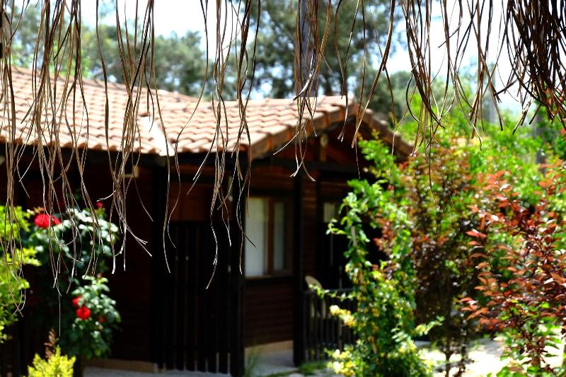 Koala Bungalows — exterior view