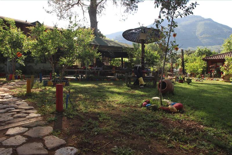 Koala Bungalows — general view