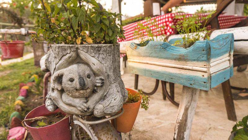 Koala Bungalows