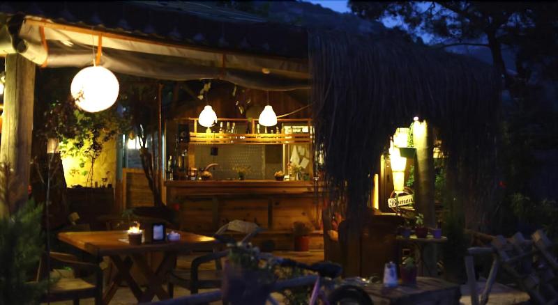 Koala Bungalows — photo 17