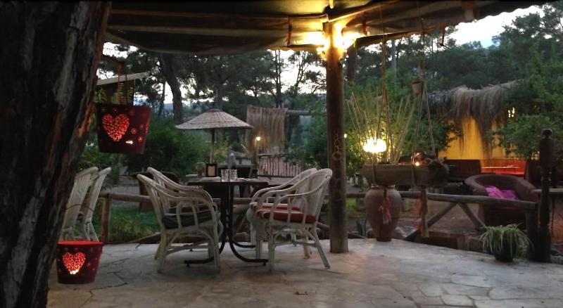 Koala Bungalows — photo 7