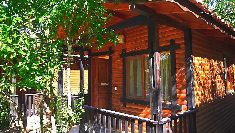Koala Bungalows — photo 36
