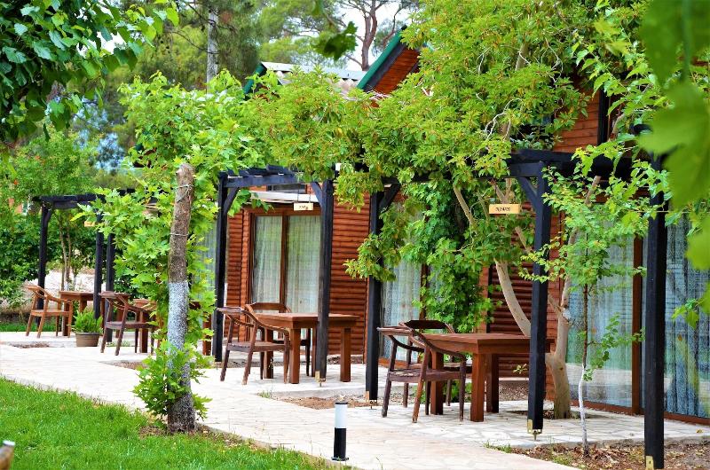 Koala Bungalows — photo 41