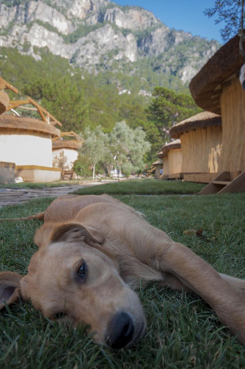 Chakra Beach Kabak