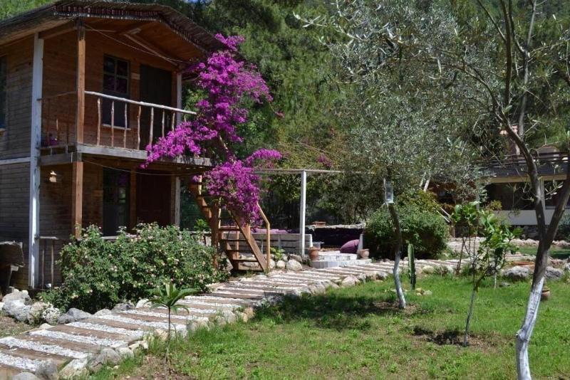 Chakra Beach Kabak