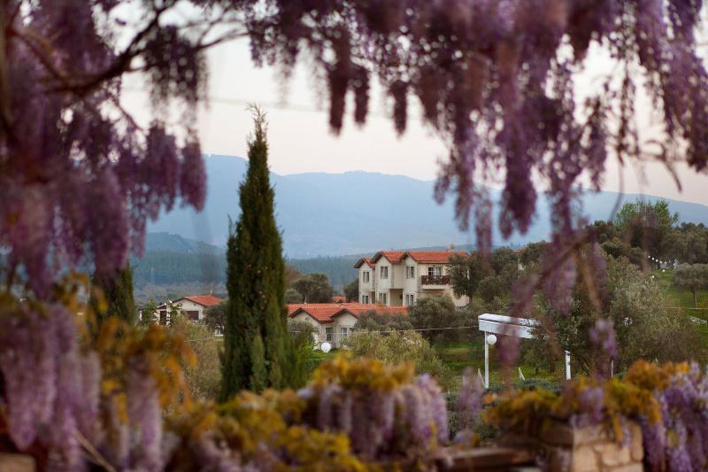 Vinifera Hotel Yedi Bilgeler Vineyards image
