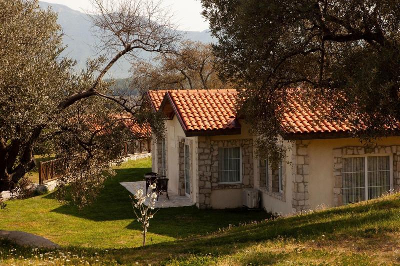 Vinifera Hotel Yedi Bilgeler Vineyards image