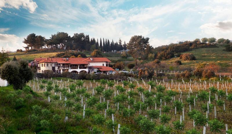 Vinifera Hotel Yedi Bilgeler Vineyards image