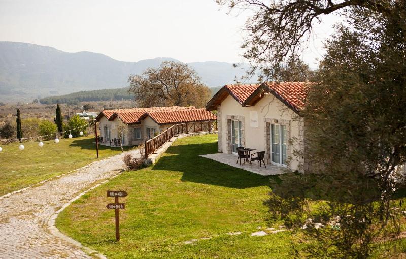 Vinifera Hotel Yedi Bilgeler Vineyards image
