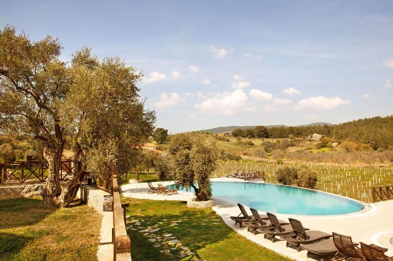 Vinifera Hotel Yedi Bilgeler Vineyards image