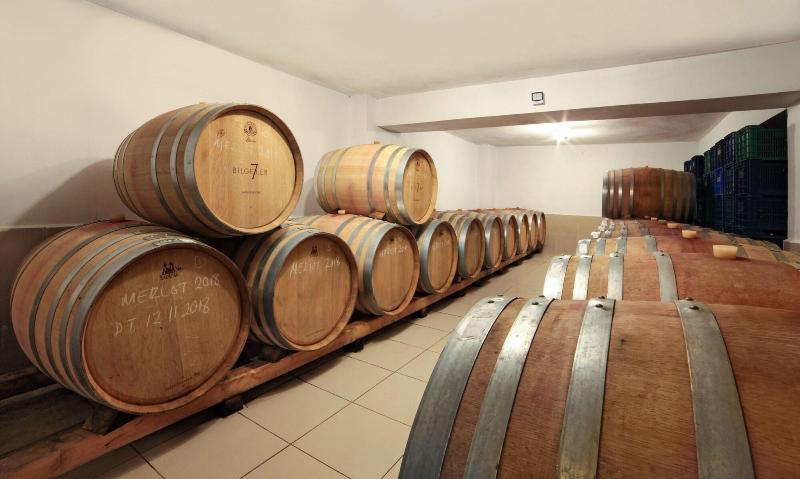 Vinifera Hotel Yedi Bilgeler Vineyards image