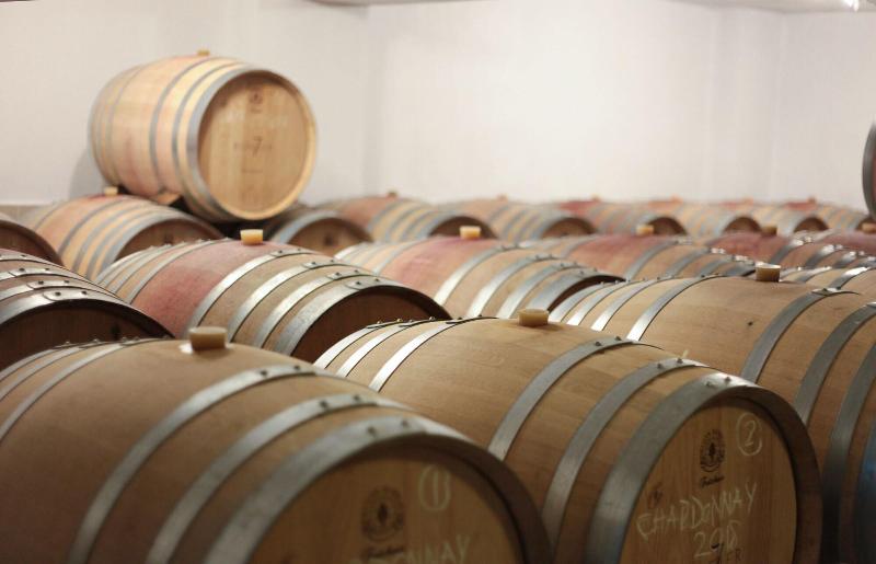 Vinifera Hotel Yedi Bilgeler Vineyards image