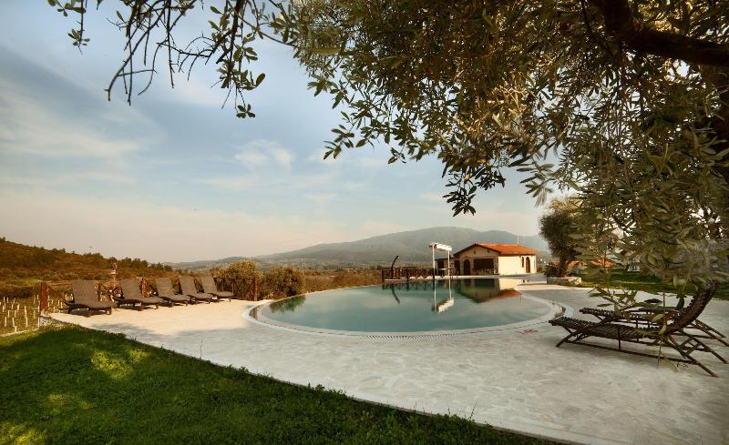 Vinifera Hotel Yedi Bilgeler Vineyards image