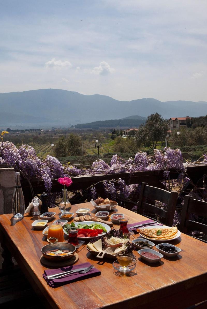 Vinifera Hotel Yedi Bilgeler Vineyards image