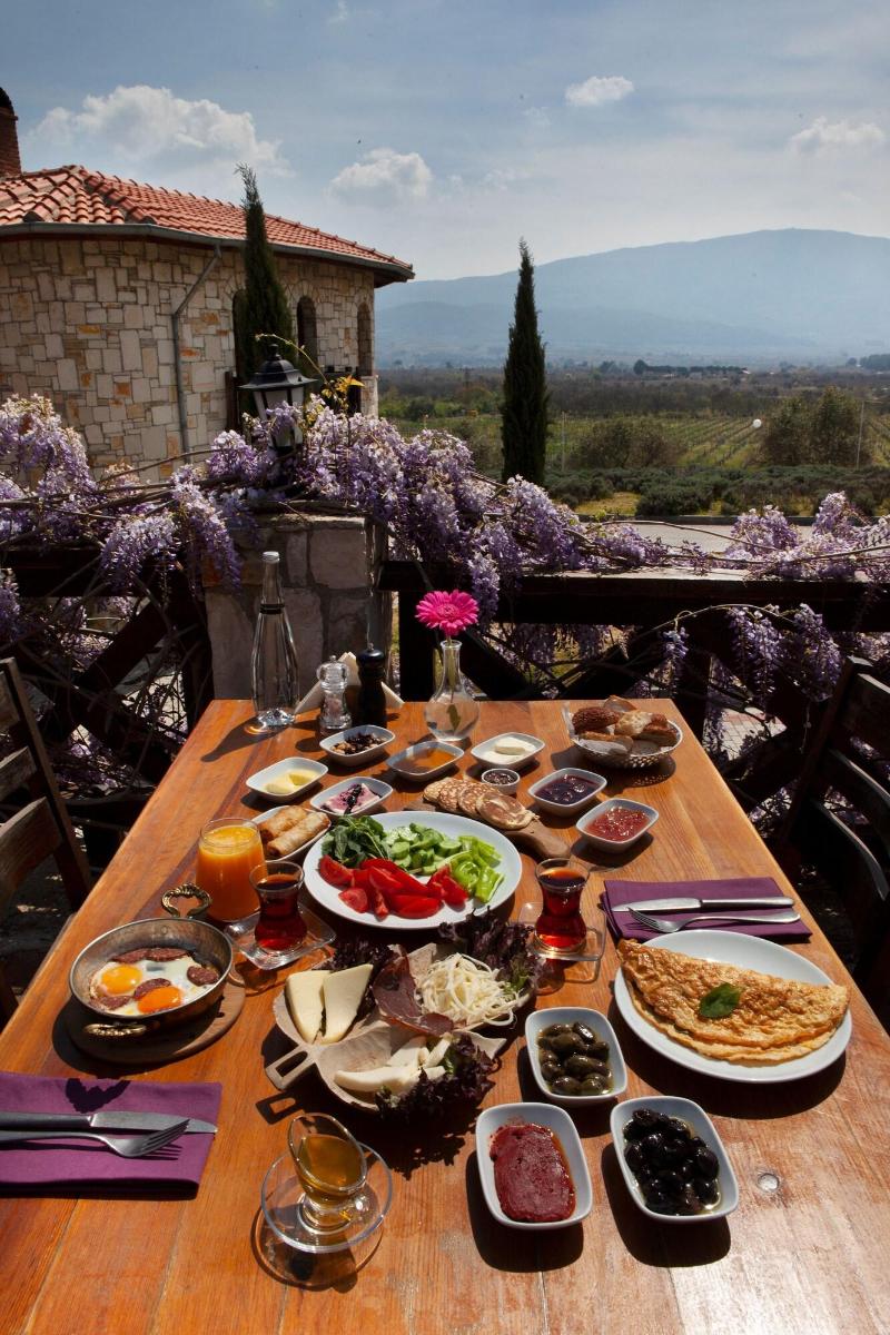 Vinifera Hotel Yedi Bilgeler Vineyards image