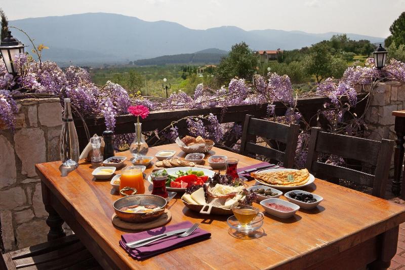Vinifera Hotel Yedi Bilgeler Vineyards image