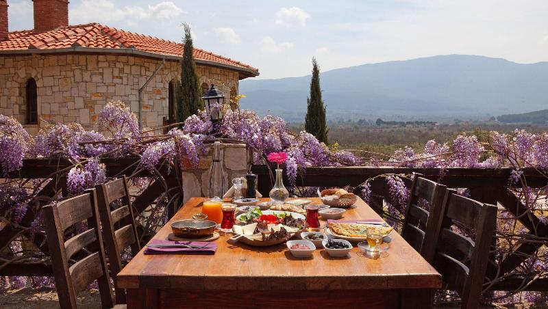 Vinifera Hotel Yedi Bilgeler Vineyards image