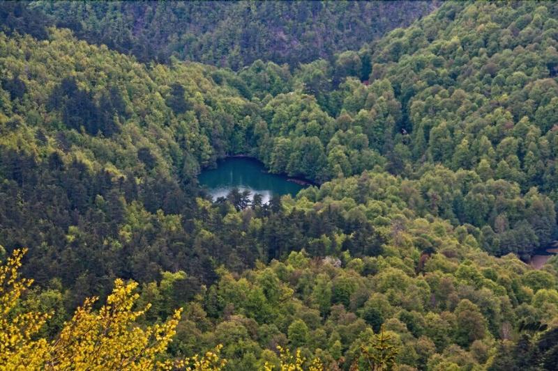 Bolu City Otel image