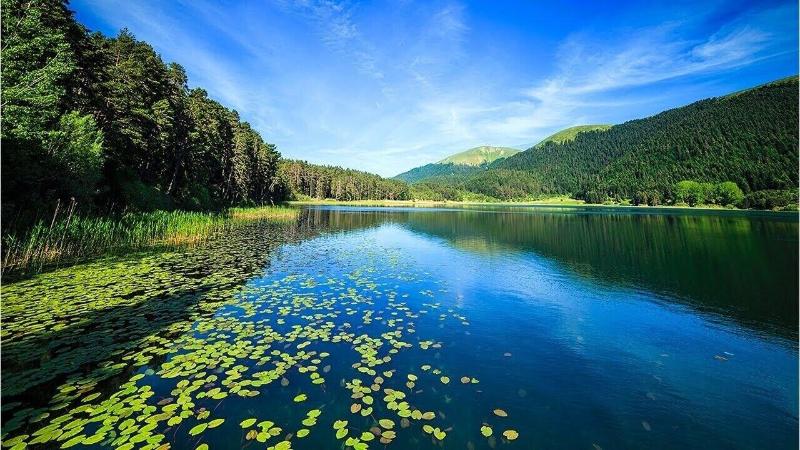 Bolu City Otel image