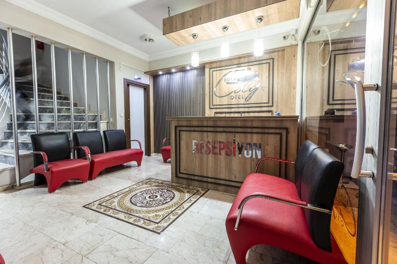 Bolu City Otel image