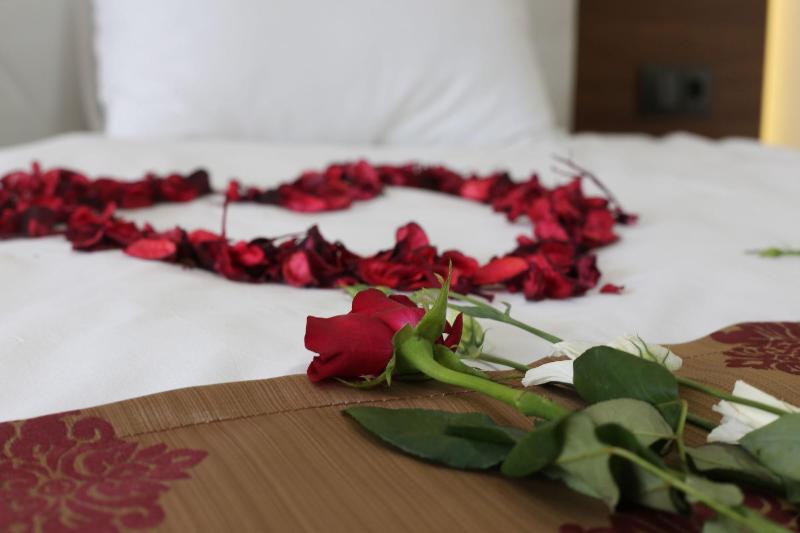 Bolu Suit Otel image