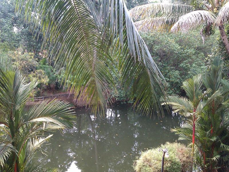 Backwater Retreat - Honeymoon House image