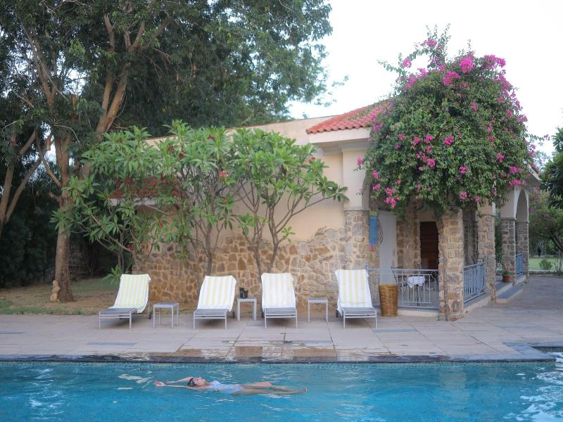 Tree of Life Kipling Jungle Lodge, Ranthambore image