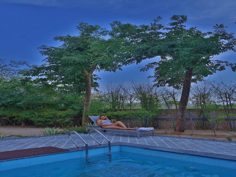 Tree of Life Kipling Jungle Lodge, Ranthambore image
