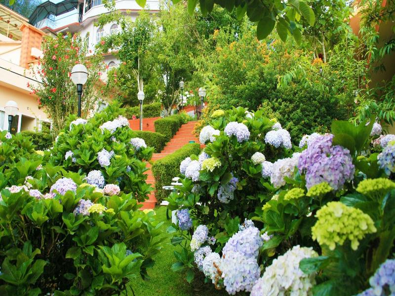 Kodai Resort Hotel