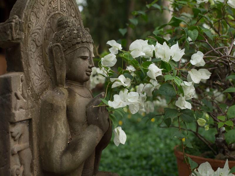 Somatheeram Ayurveda Village image