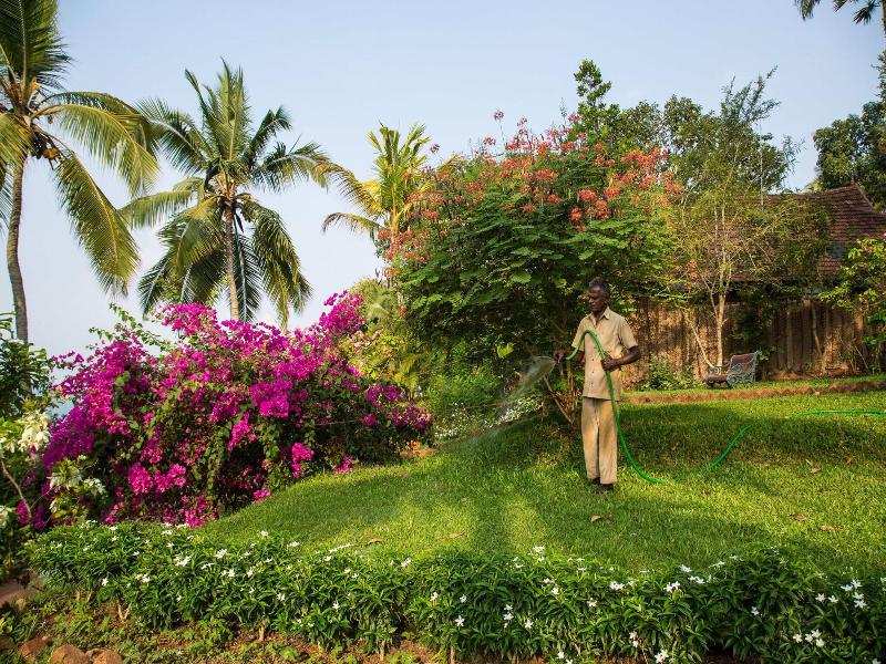 Somatheeram Ayurveda Village image