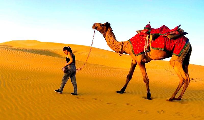 Sheesh Mahal Desert Camp