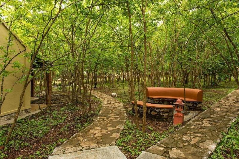 The Windflower Jungle Resorts And Spa