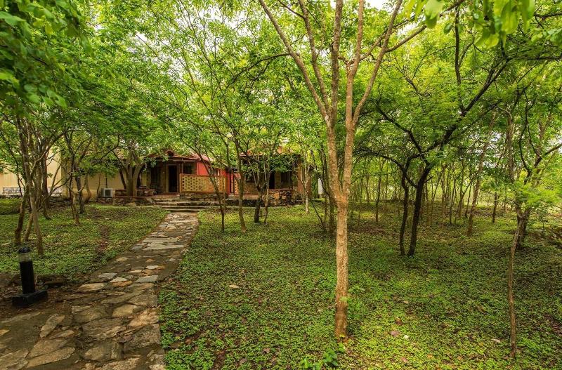 The Windflower Jungle Resorts And Spa