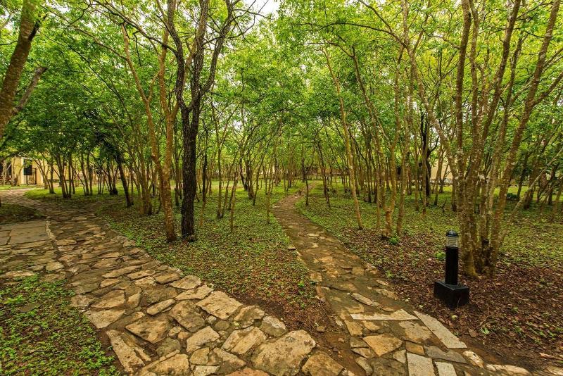 The Windflower Jungle Resorts And Spa