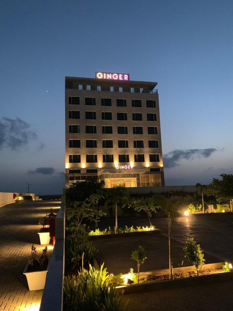 Ginger Dwarka image