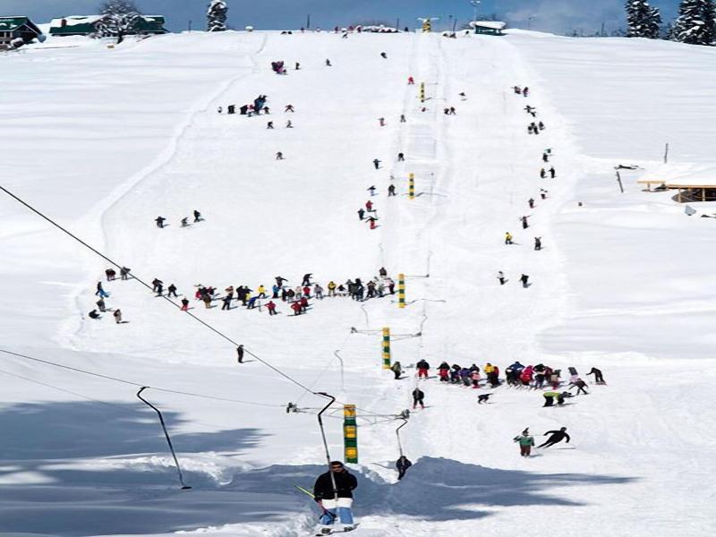 Pine View Resort - Gulmarg
