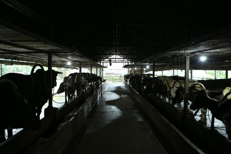 Dew Drops Farm Resorts image