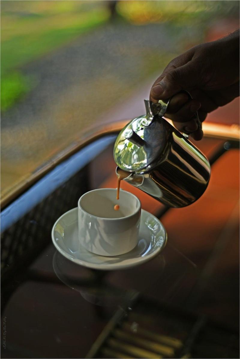 Dew Drops Farm Resorts image
