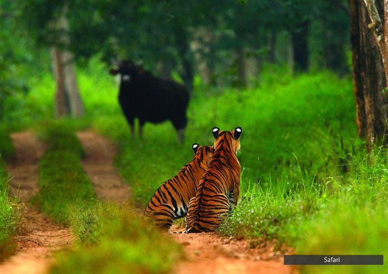 The Serai Bandipur image