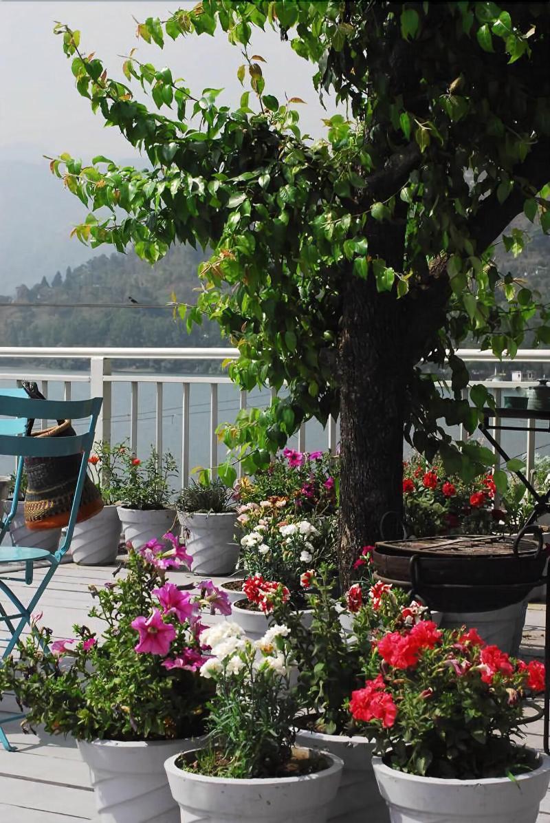 Fishermen's Lodge - A Lake Facing Hotel (20 KMS Fr